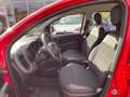 Fiat Panda 1.0 Red KlimaA+LM+Facelift+Carplay Rot - thumbnail 10