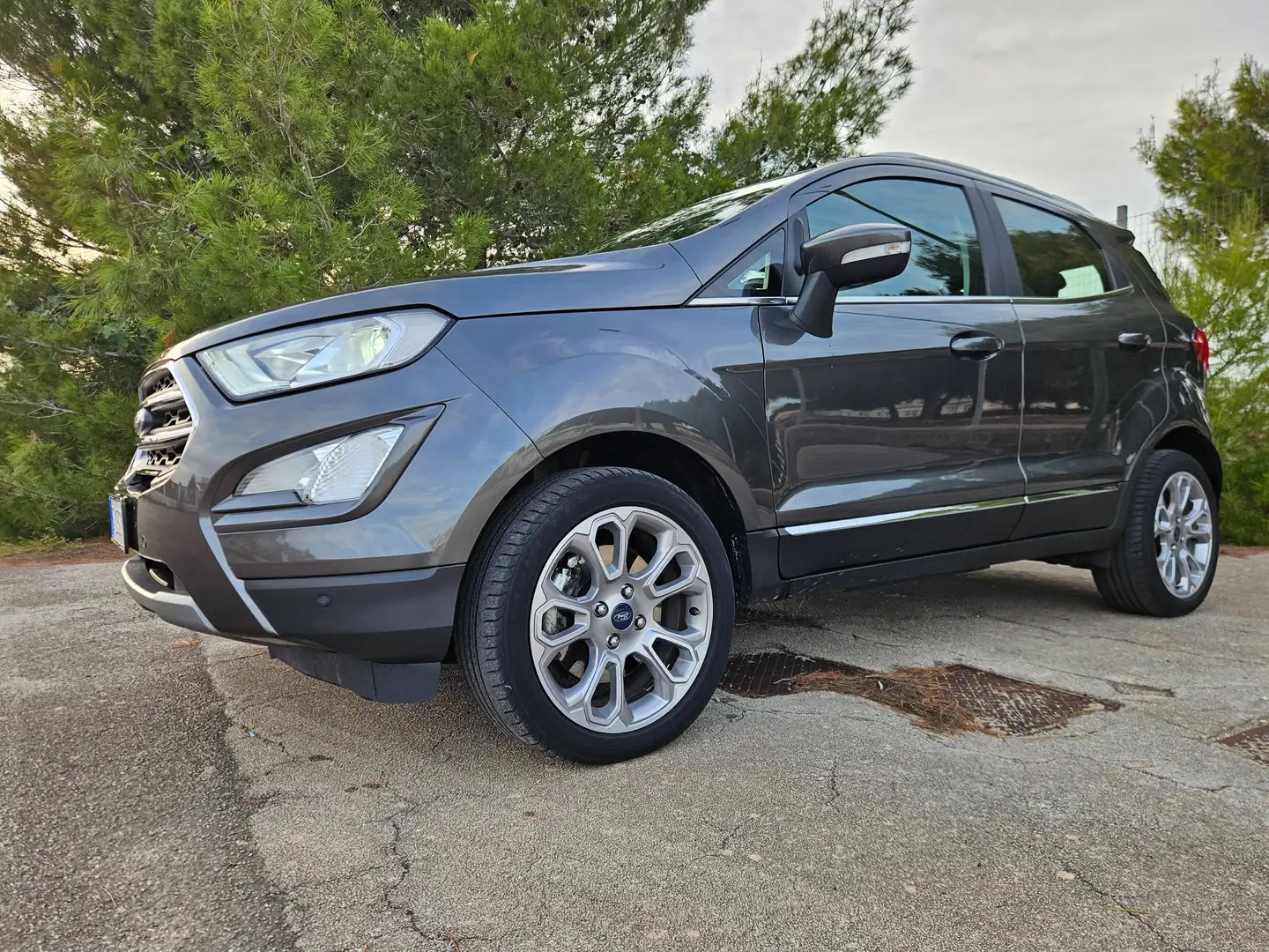Ford EcoSport EcoSport 1.0 ecoboost Titanium s Grigio - 1