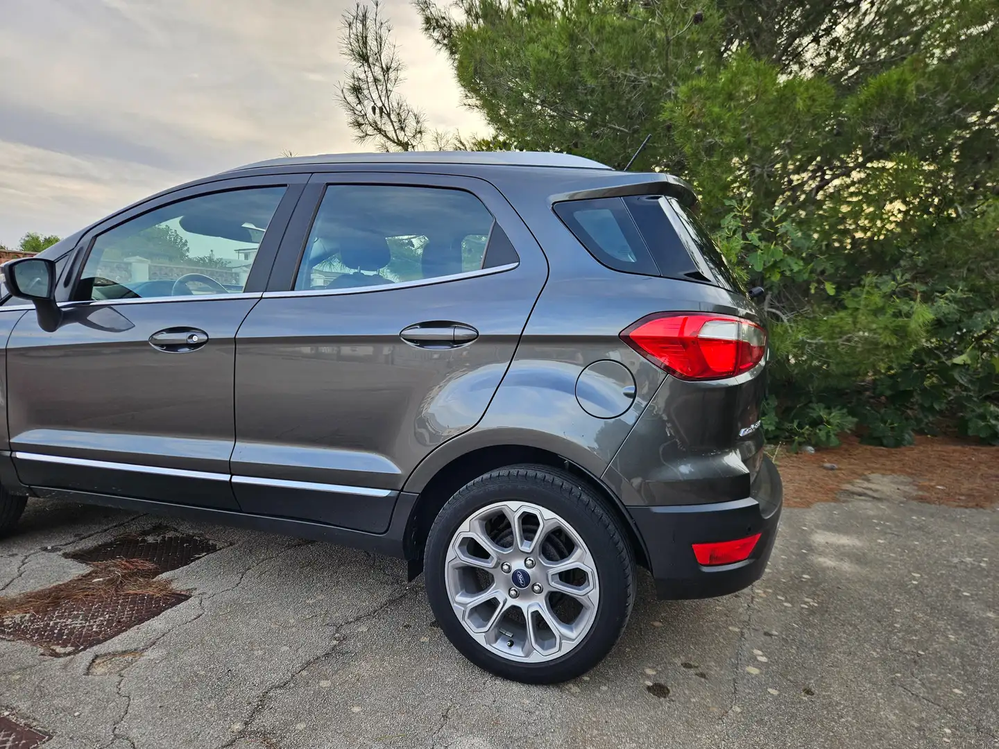 Ford EcoSport EcoSport 1.0 ecoboost Titanium s Grigio - 2