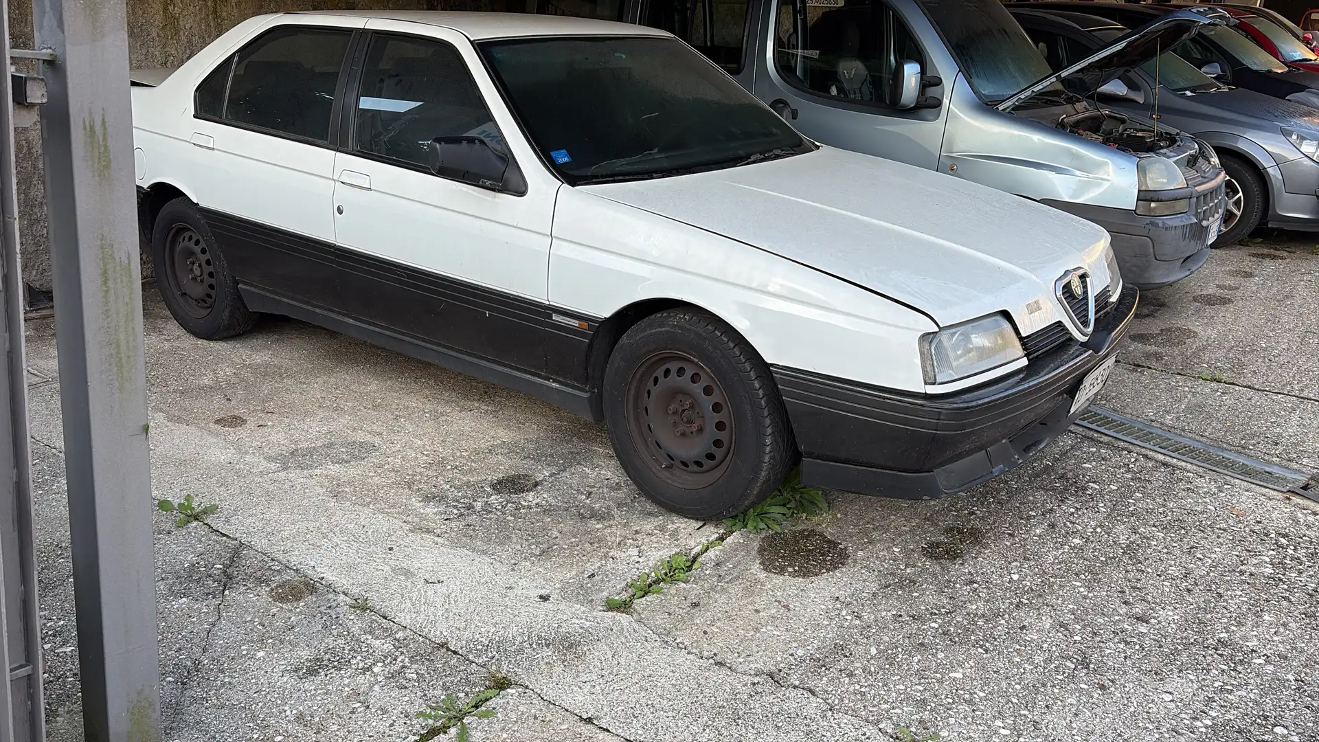 Alfa Romeo 164 164 2.0 ts cat. - 1