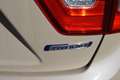 Suzuki Ignis 1.2 Smart Hybrid 83pk Style Bruin - thumbnail 20