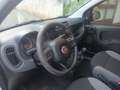 Fiat Panda 1.2 5 POSTI*NO VINCOLO FINANZIAMENTO Weiß - thumbnail 4