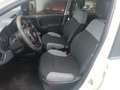 Fiat Panda 1.2 5 POSTI*NO VINCOLO FINANZIAMENTO Weiß - thumbnail 6