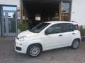 Fiat Panda 1.2 5 POSTI*NO VINCOLO FINANZIAMENTO Weiß - thumbnail 1