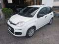 Fiat Panda 1.2 5 POSTI*NO VINCOLO FINANZIAMENTO Weiß - thumbnail 2