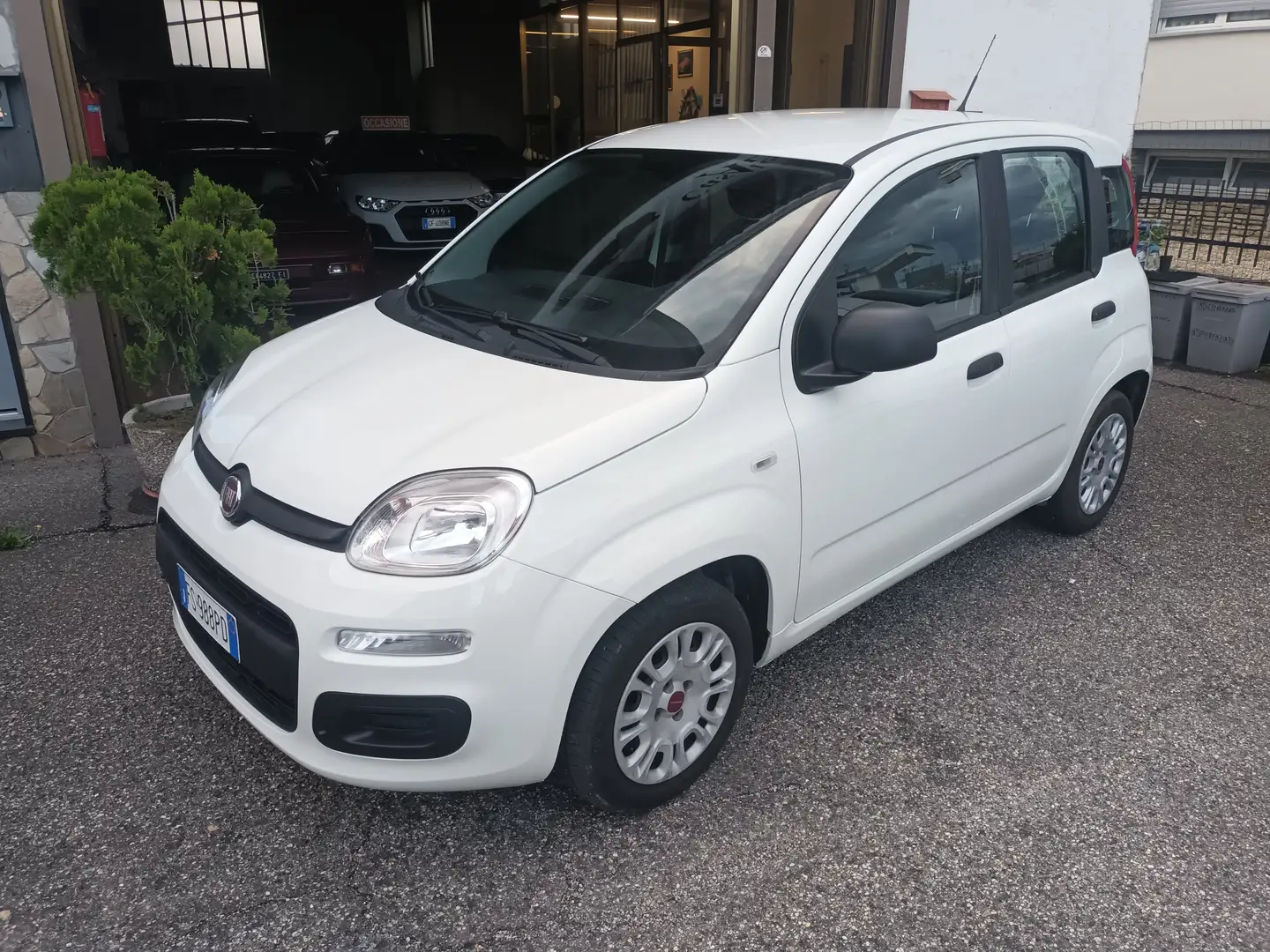Fiat Panda 1.2 5 POSTI*NO VINCOLO FINANZIAMENTO Weiß - 2