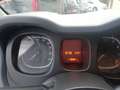 Fiat Panda 1.2 5 POSTI*NO VINCOLO FINANZIAMENTO Weiß - thumbnail 5