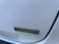 Ford C-Max 1.0 Ecoboost Auto-S&S Trend+ 125 Blanco - thumbnail 13