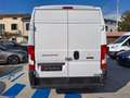 Fiat Ducato 33 2.3 MJT 140CV PLM-TM Furgone Weiß - thumbnail 6
