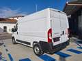 Fiat Ducato 33 2.3 MJT 140CV PLM-TM Furgone Weiß - thumbnail 7