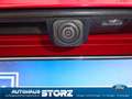 Ford Puma Puma ST-Line X MHEV WINTER PAKET|KOFFERRAUM ELEKTR Rouge - thumbnail 16