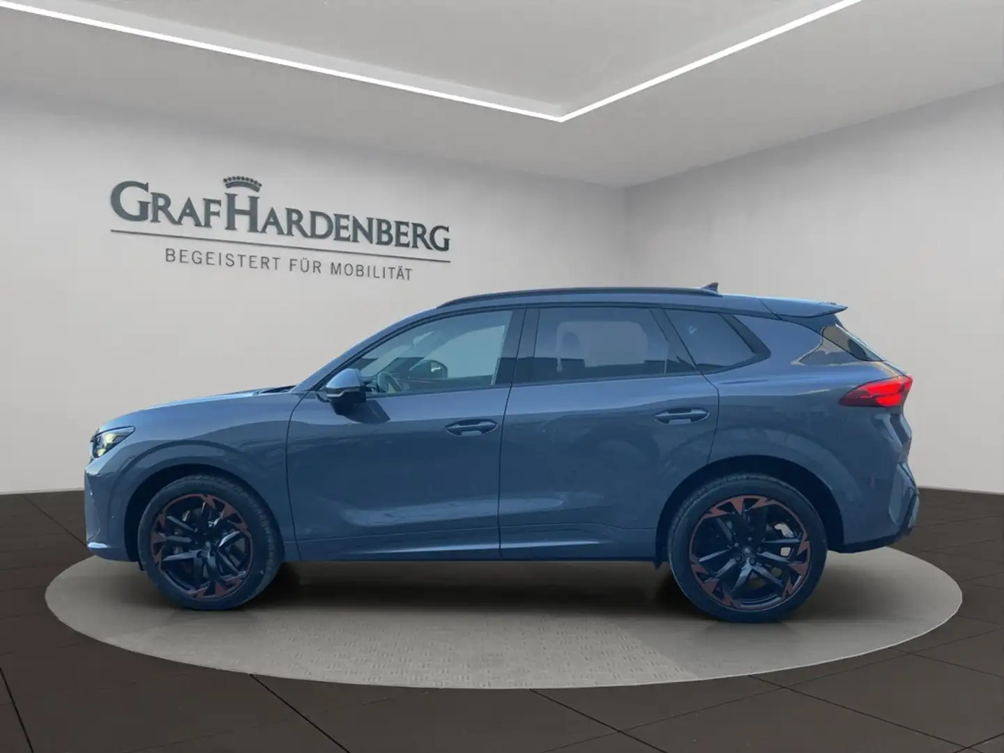 CUPRA Terramar VZ 2.0 TSI 195 kW (265 VZ Grau - 2