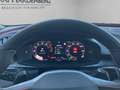 CUPRA Terramar VZ 2.0 TSI 195 kW (265 VZ Grau - thumbnail 13