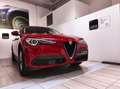 Alfa Romeo Stelvio - Stelvio 2.2 Turbodiesel 190 CV AT8 RWD Business Червоний - thumbnail 1