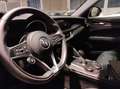 Alfa Romeo Stelvio - Stelvio 2.2 Turbodiesel 190 CV AT8 RWD Business Червоний - thumbnail 10