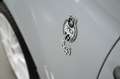 Abarth 595 Competizione esseesse 70° 1.4 T-jet 180cv SABELT/AKRAPOVIC Grau - thumbnail 17