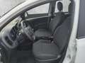 Fiat Panda MY24 Hybrid 1.0 GSE 70PS KLIMAANLAGE*RADIO Blanc - thumbnail 12
