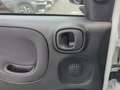 Fiat Panda MY24 Hybrid 1.0 GSE 70PS KLIMAANLAGE*RADIO Blanc - thumbnail 15