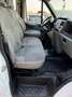Ford Transit 7posti (la testata da rifare). Weiß - thumbnail 8