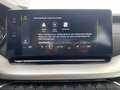 Skoda Octavia Combi Style 2.0 TDI DPF EU6d Navi pACC Kamera Grau - thumbnail 13