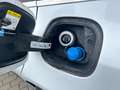Ford Focus Turnier 1.5 EcoBlue Titanium X ACC LED B&O Wit - thumbnail 26