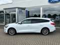 Ford Focus Turnier 1.5 EcoBlue Titanium X ACC LED B&O Weiß - thumbnail 3