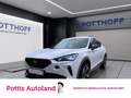 CUPRA Formentor 1.5 TSI AHK NAVI PDC LED SITZHZG Weiß - thumbnail 1
