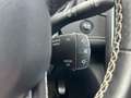 Renault Scenic 1.3 TCE BOSE, Black Edition, Xenon, Pano Rot - thumbnail 20