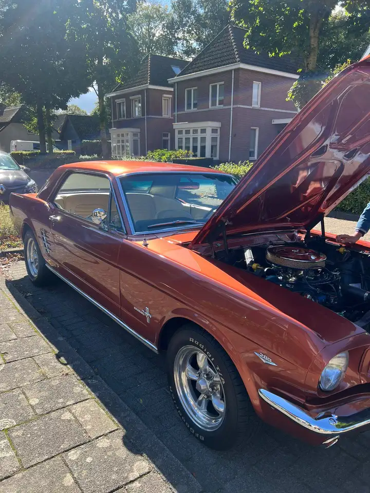 Ford Mustang Coupe, foto 8