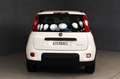 Fiat Panda 1.0 HYBRID 70CV CITY LIFE White - thumbnail 13