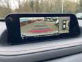 Mazda CX-30 Homura HUD Navi Bose 360 Kamera LED ACC El. Heckkl Weiß - thumbnail 12