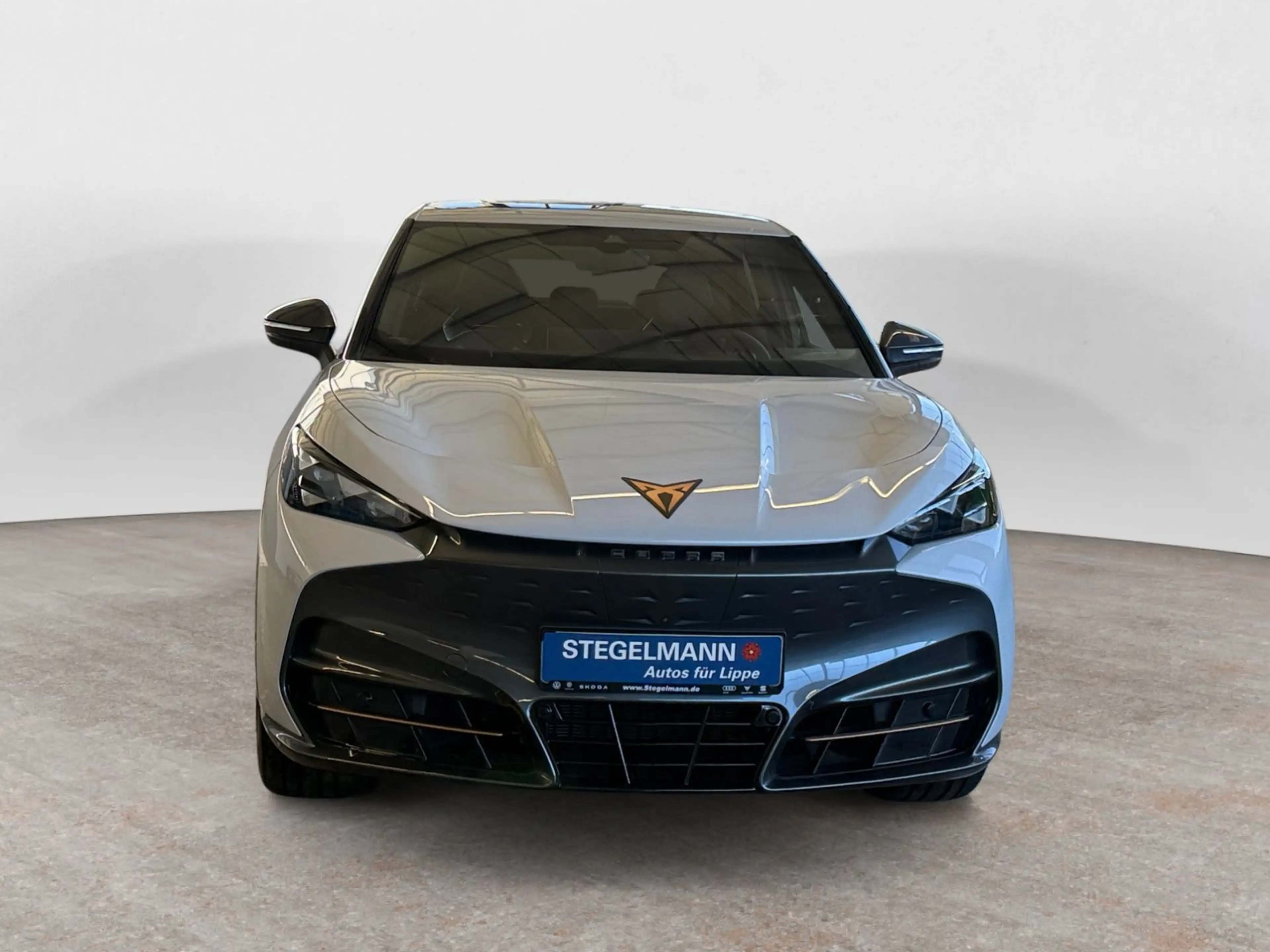 CUPRA Tavascan VZ Extreme, Head Up, Sennheiser, Matrix — photo 9
