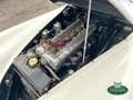 Jaguar XK 120 OTS 3.4 SE M Version Bianco - thumbnail 14