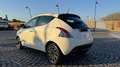 Lancia Ypsilon 1.0 firefly hybrid 8.000 KM OK NEOP. Bianco - thumbnail 5