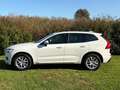 Volvo XC60 XC60 II 2018 2.0 d4 Inscription geartronic Weiß - thumbnail 8