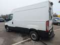 Iveco Daily Kasten 2.3 Hi-Matic 35  Radstand 3520 Wit - thumbnail 3