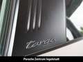 Porsche 992 (911) Targa 4 GTS, Hinterachslenkung, PA Surround Argent - thumbnail 12