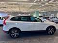 Volvo XC60 Kinetic D3/D4 AWD Weiß - thumbnail 4