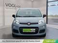 Fiat Panda 4x2 FireFly Hybrid 70 Grau - thumbnail 6
