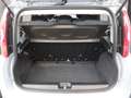 Fiat Panda 4x2 FireFly Hybrid 70 Grau - thumbnail 11