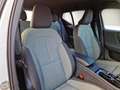 Volvo XC40 2.0 B3 PLUS DARK Auto KM 25.000 PREZZO REALE Bianco - thumbnail 10
