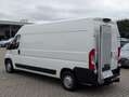 Peugeot Boxer HDi 335 L3H2 Kühlkasten 0°C mit LBW Weiß - thumbnail 4