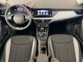 Skoda Kamiq Selection 115PS DSG AHK+Kamera+Kessy+PDC+Winter... Grau - thumbnail 6