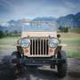 Jeep Willys Willys CJ-2A 1947 – aufwendig restauriert Beige - thumbnail 17