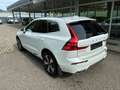 Volvo XC60 B4 Inscription AWD Geartronic *TOP AUSSTATTUNG* Weiß - thumbnail 4