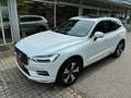 Volvo XC60 B4 Inscription AWD Geartronic *TOP AUSSTATTUNG* Weiß - thumbnail 2