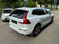 Volvo XC60 B4 Inscription AWD Geartronic *TOP AUSSTATTUNG* Weiß - thumbnail 3