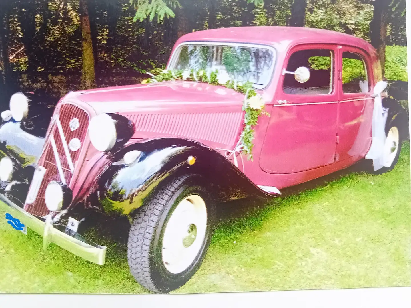 Citroen Traction Avant B11 Lila - 1