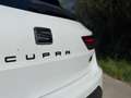 SEAT Leon Cupra 280 Weiß - thumbnail 16