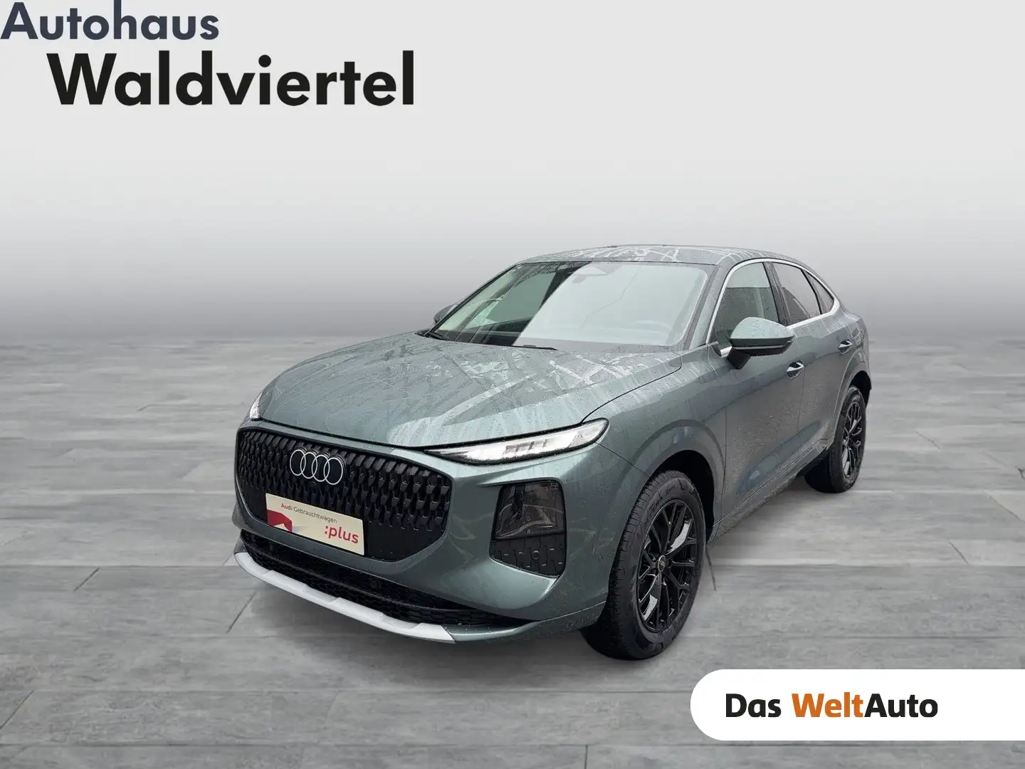 Audi Q3 TFSI 110 kW Grün - 1